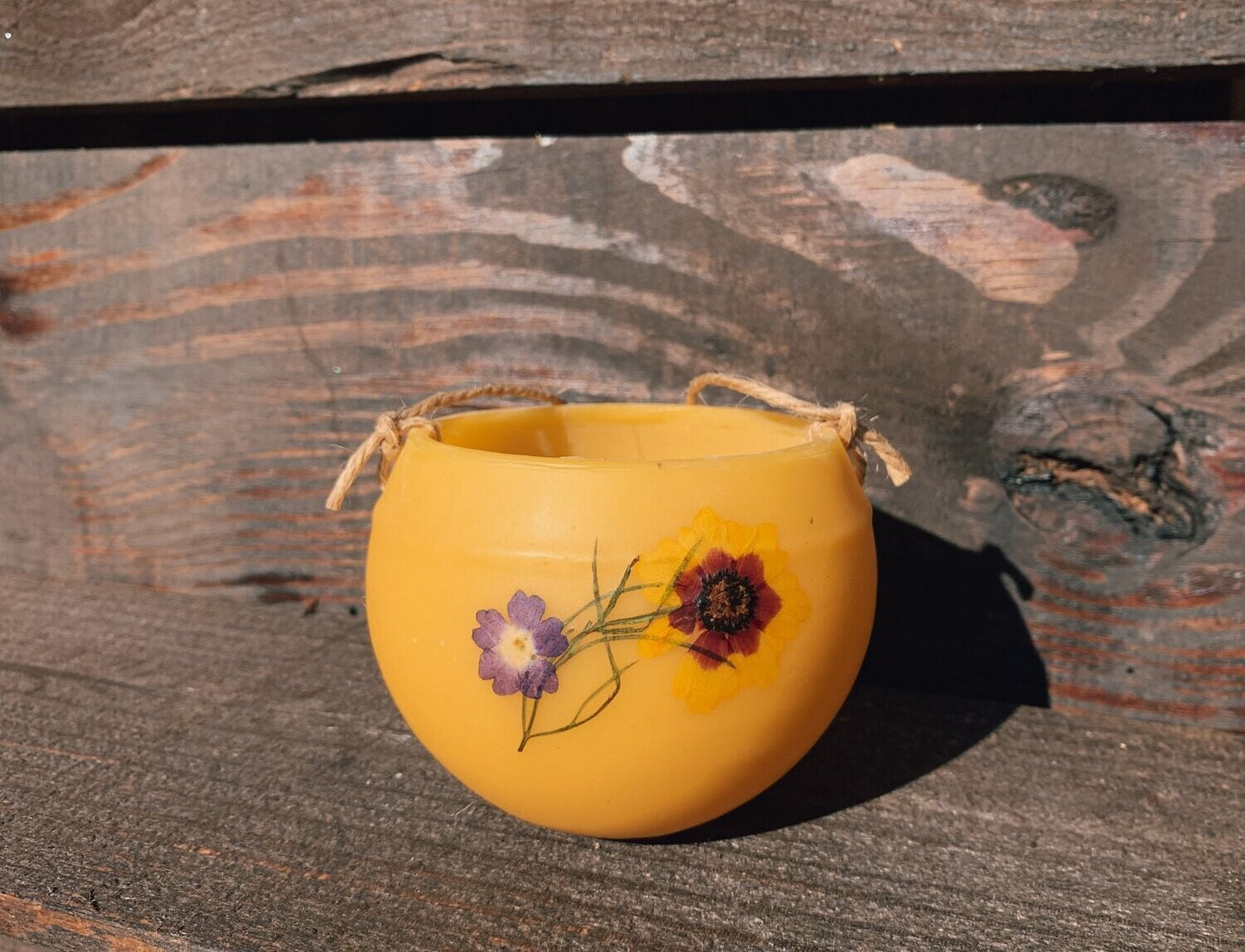 Coreopsis HoneyBaby