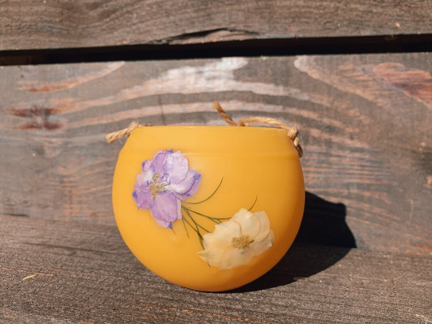 Larkspur HoneyBaby