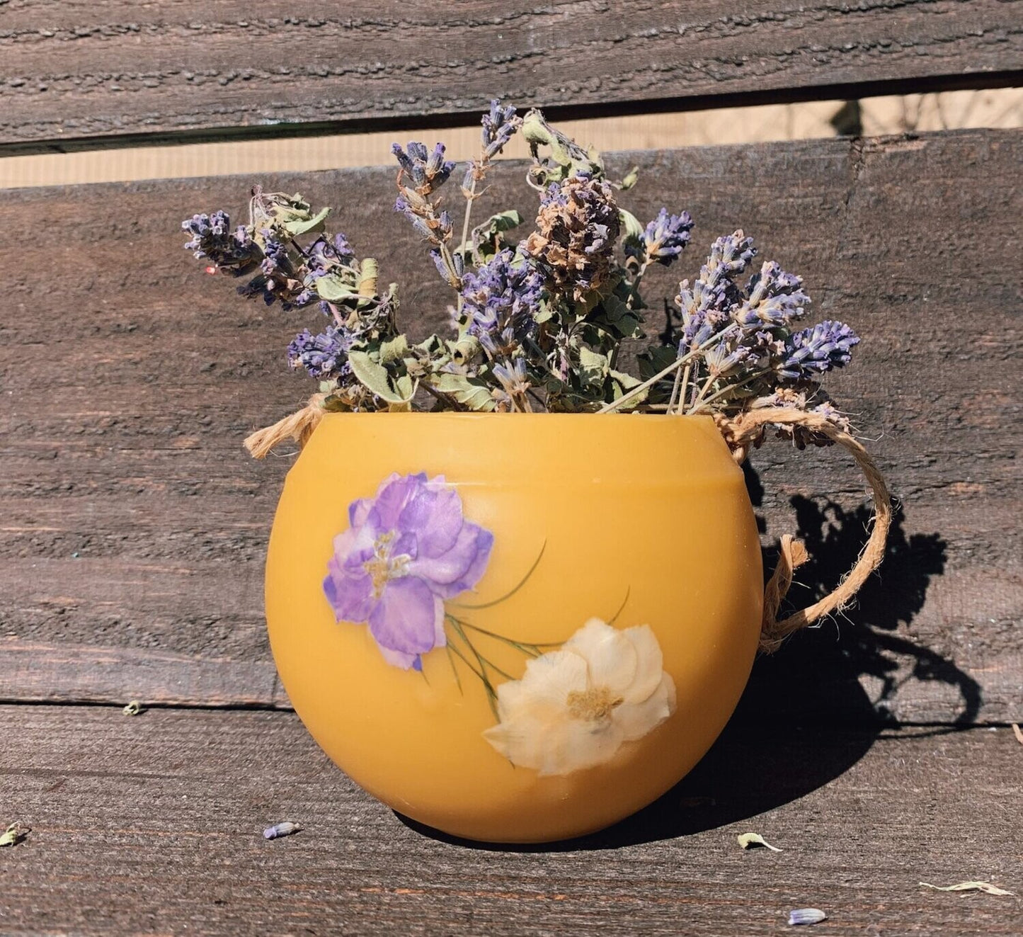 Larkspur HoneyBaby