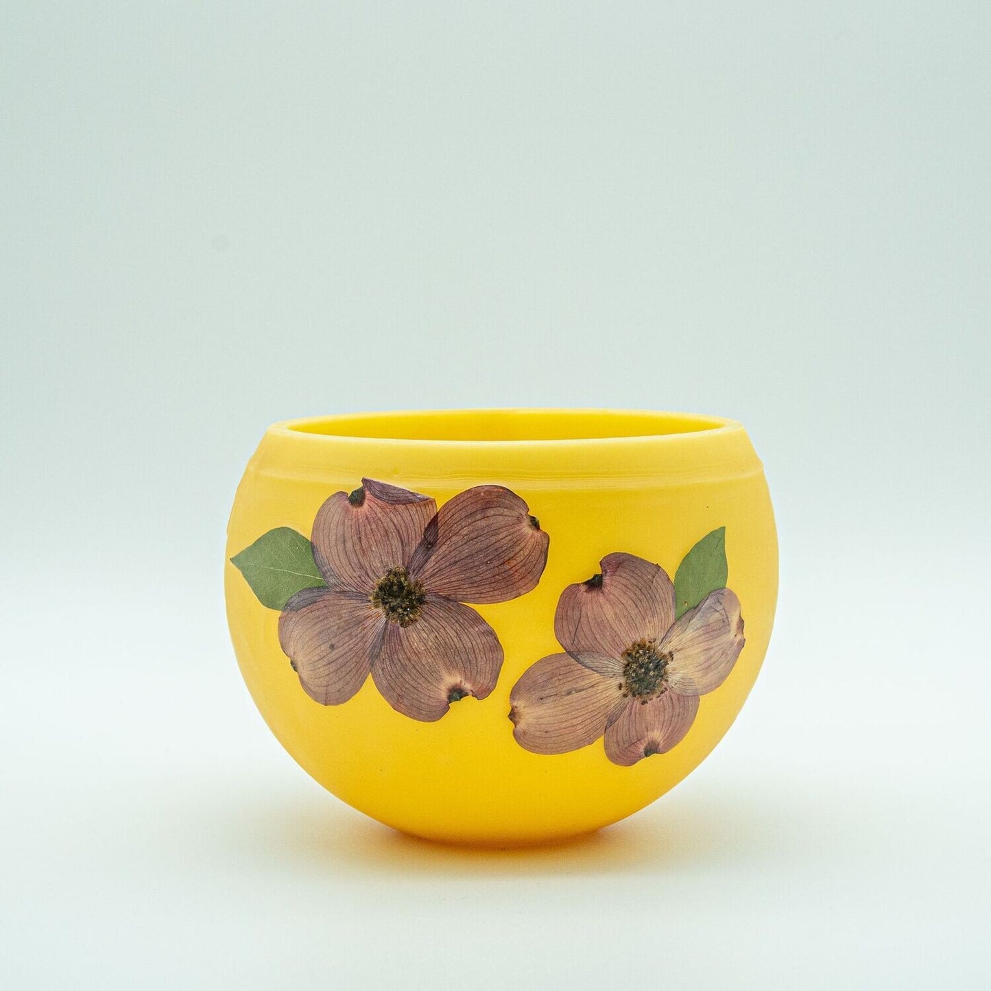 Dogwood