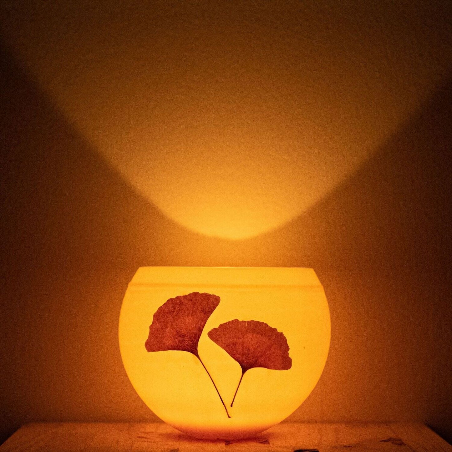 Ginko