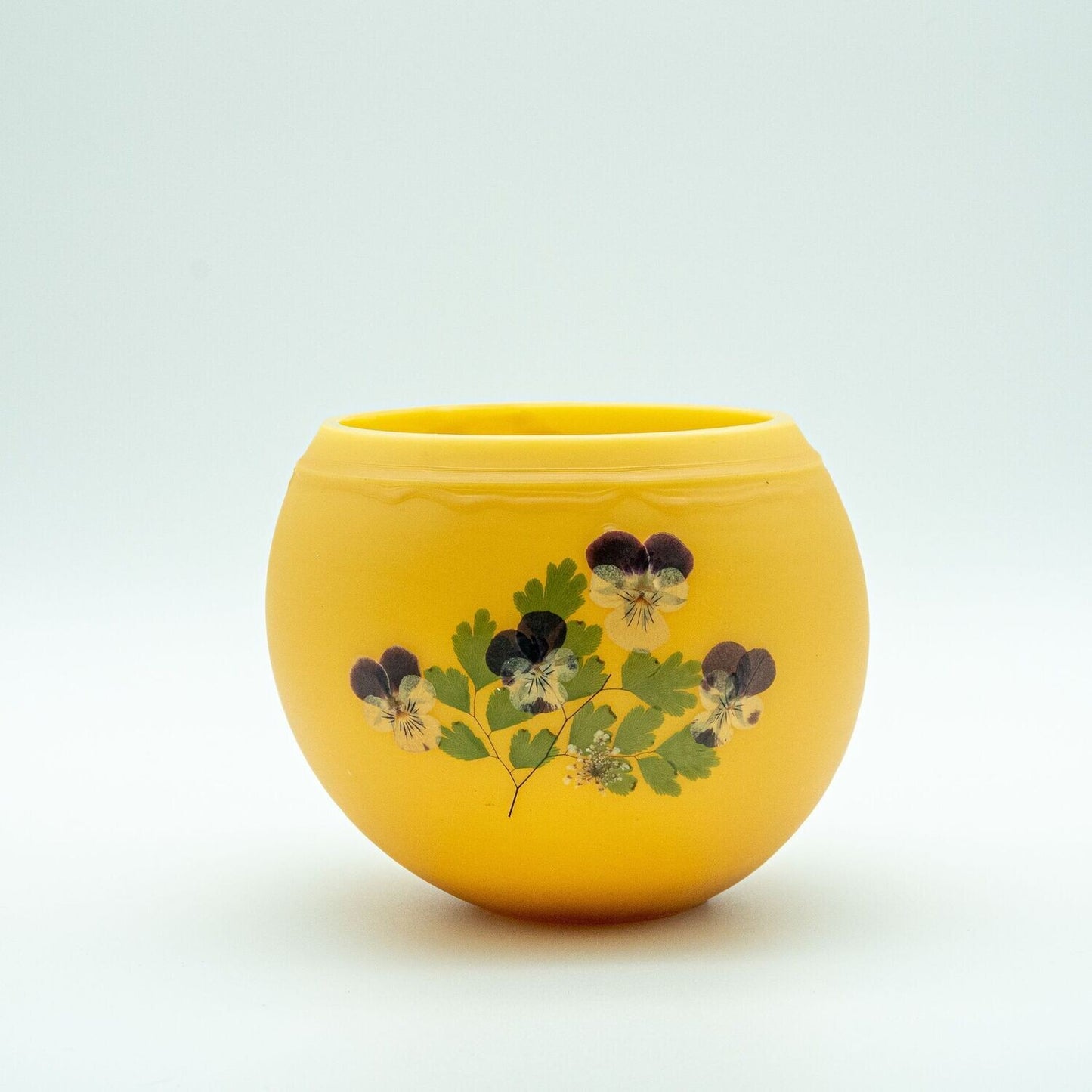 Pansy / Viola