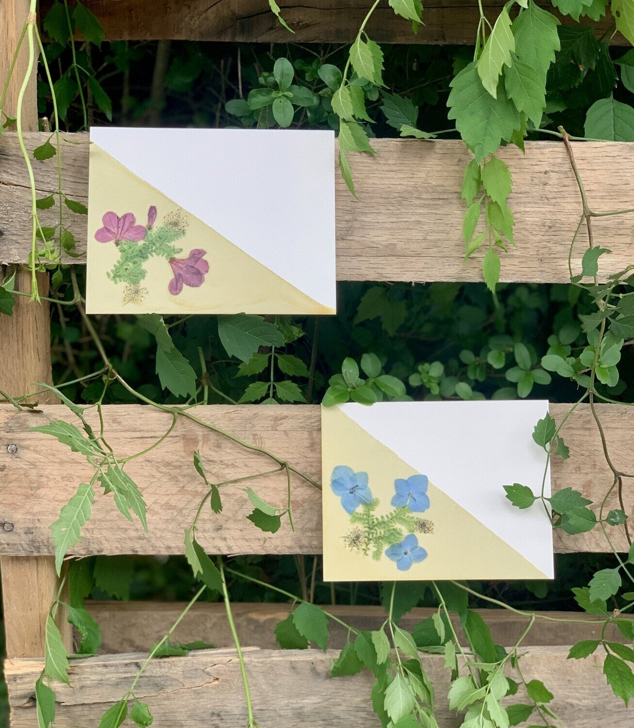 Botanical Stationary - Box of 5