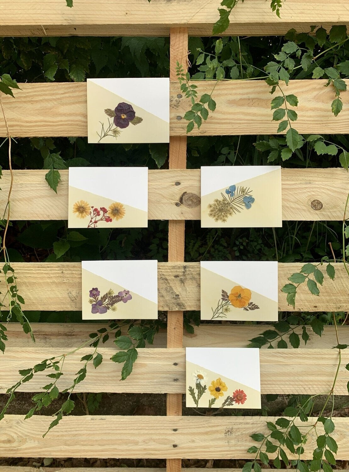 Botanical Stationary - Box of 5